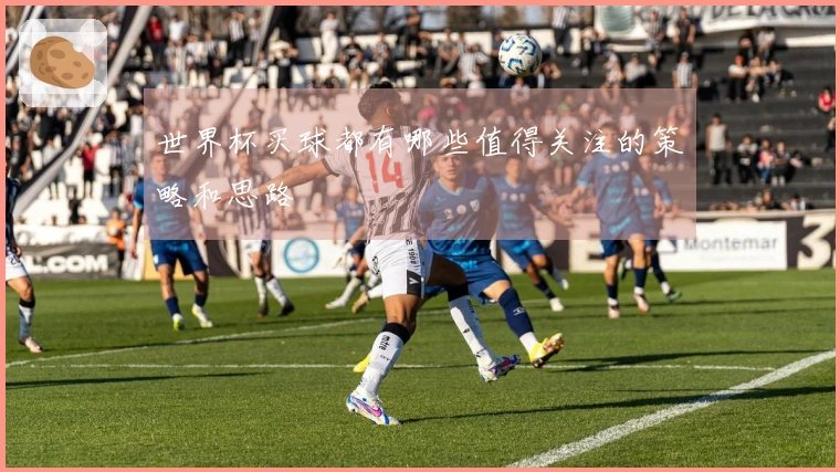 世界杯买球都有哪些值得关注的策略和思路