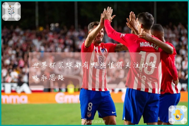 世界杯买球都有哪些值得关注的策略和思路