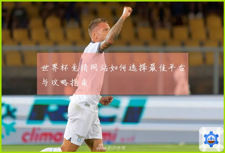 世界杯竞猜网站如何选择最佳平台与攻略指南