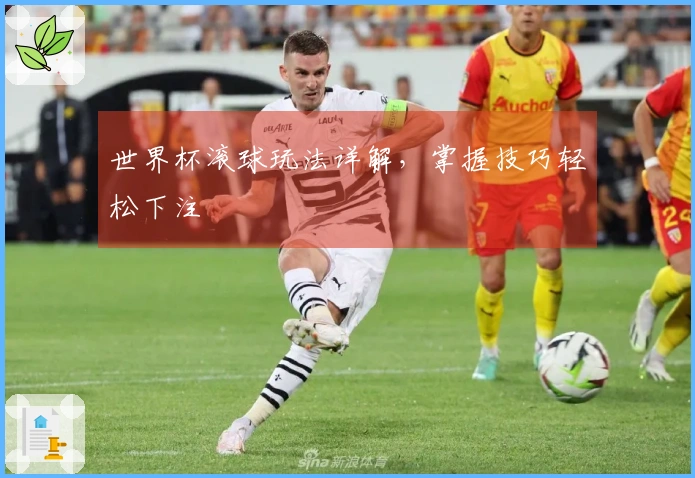 世界杯滚球玩法详解，掌握技巧轻松下注