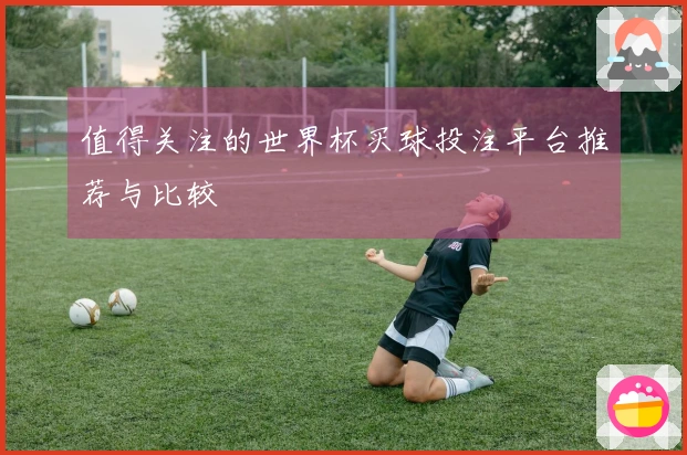 值得关注的世界杯买球投注平台推荐与比较