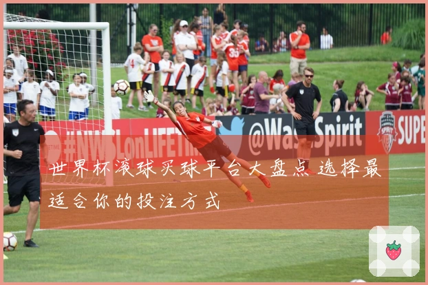 世界杯滚球买球平台大盘点 选择最适合你的投注方式